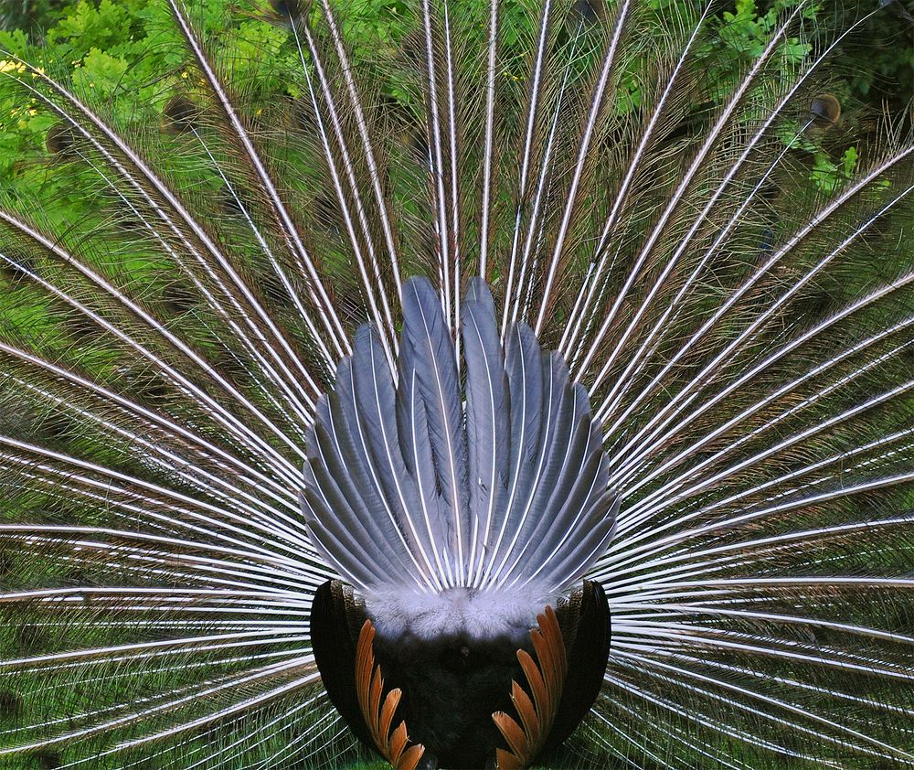 Photograph by Алексей