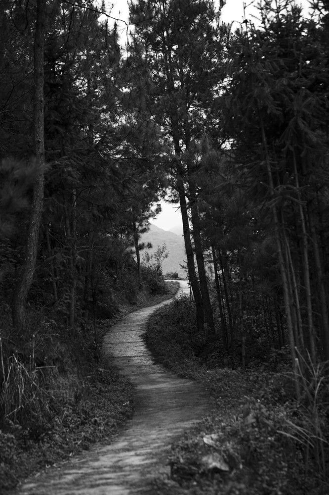 Photograph by Lai Bich Lien