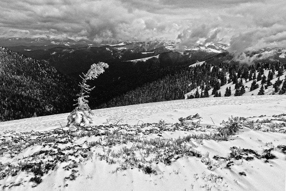 Photograph by Николай Ментюк