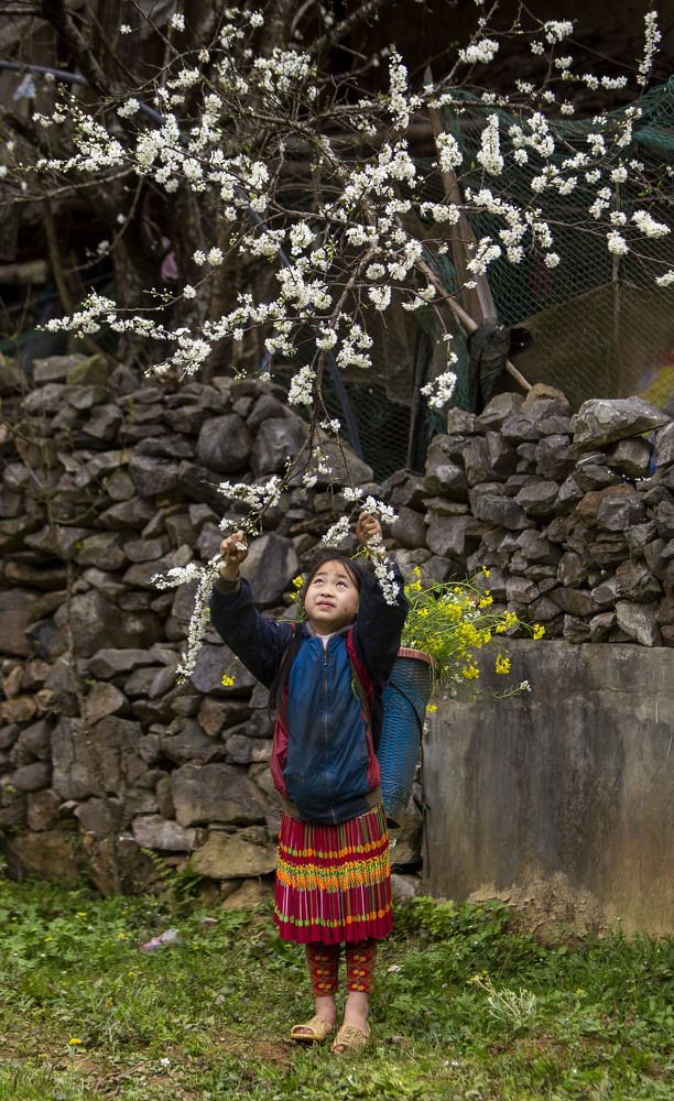 Photograph by Lai Bich Lien