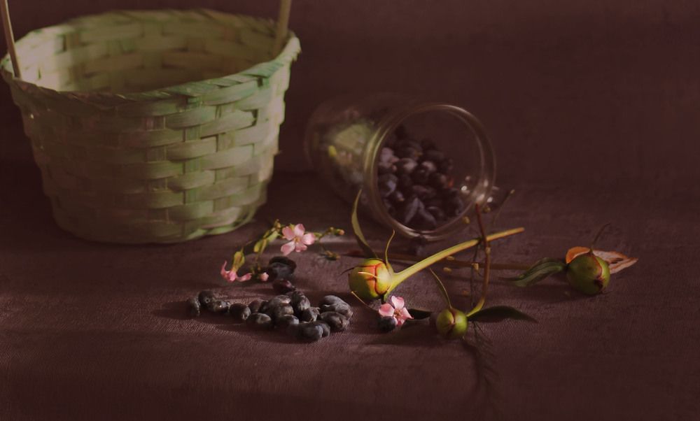 Photograph by Татьяна Гатиятуллина