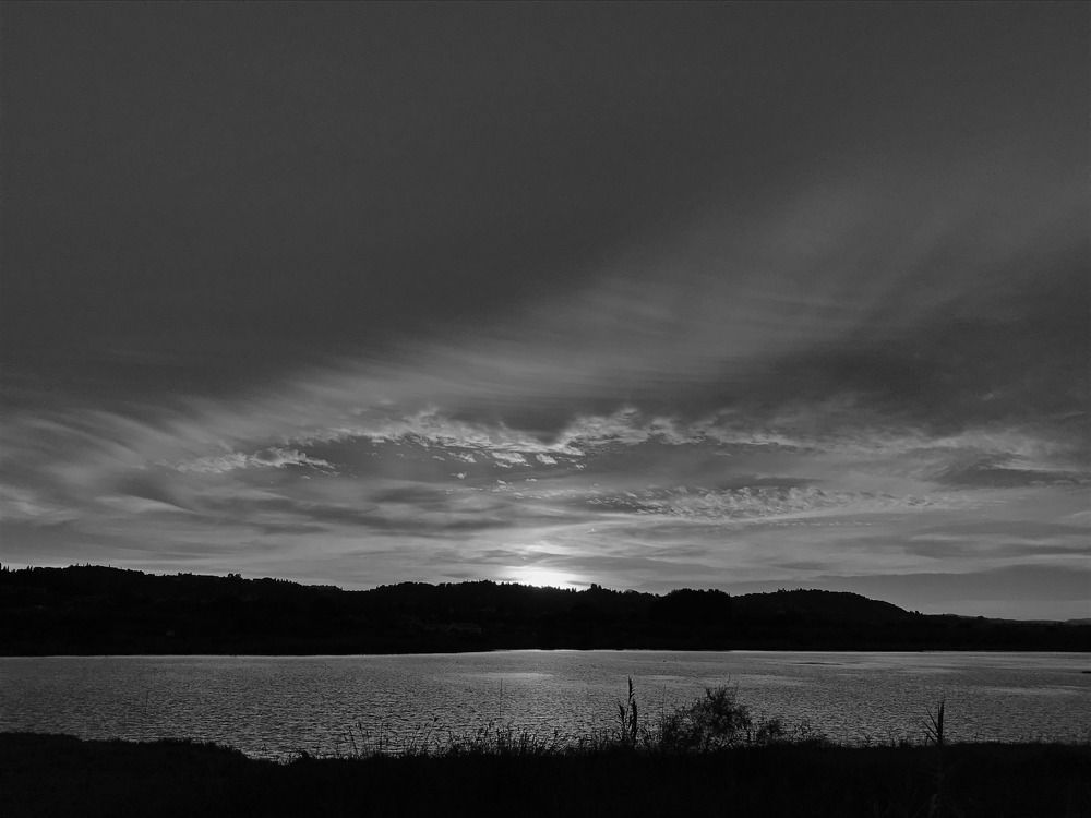 Photo #7749166
