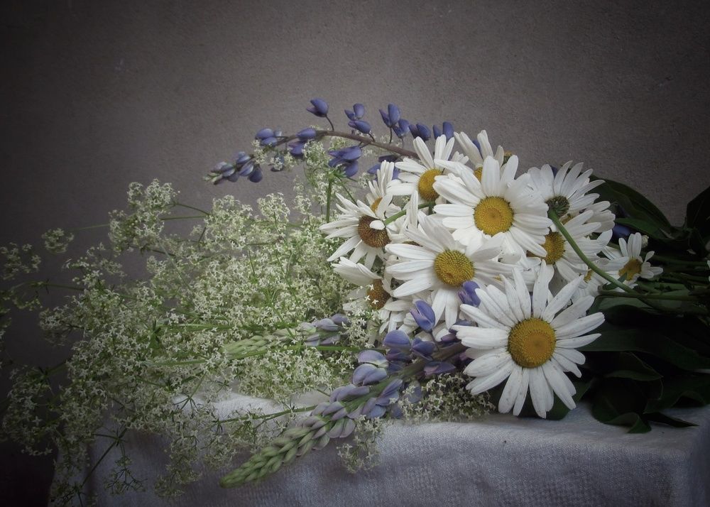 Photograph by Наталия Степанова