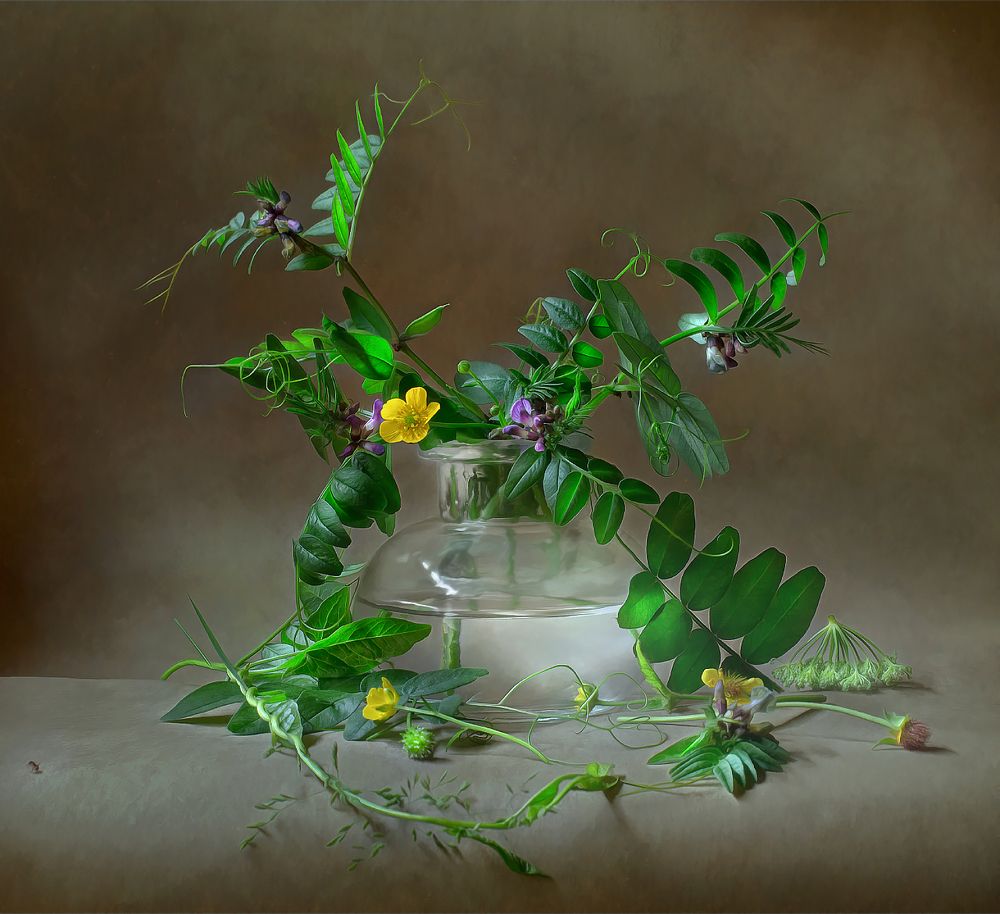 Photograph by Олег Расторгуев