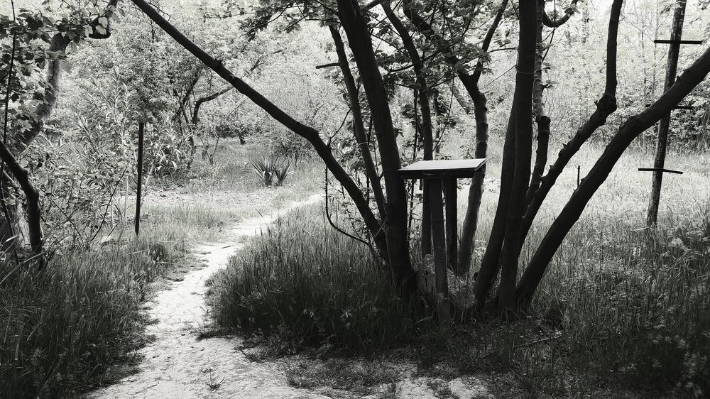 Photograph by Shahin Huseynli