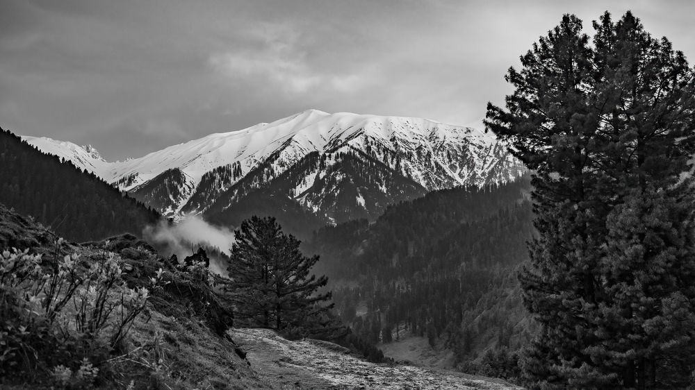 Photograph by Venkat Mangudi