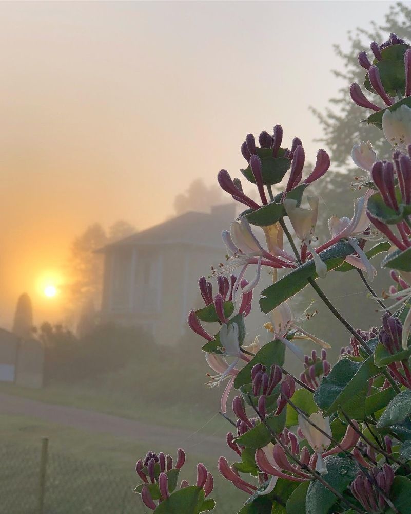 Photograph by Лариса Акинчиц