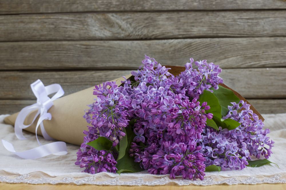 Photograph by Соколова Ирина