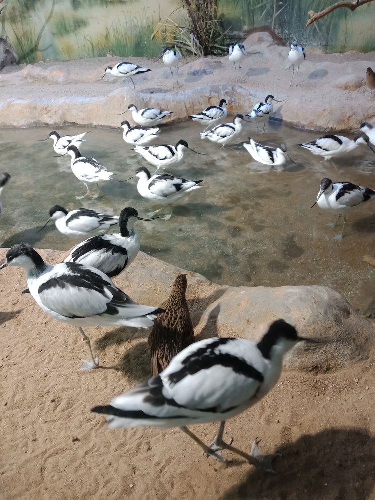 Photograph by Анна Воронова