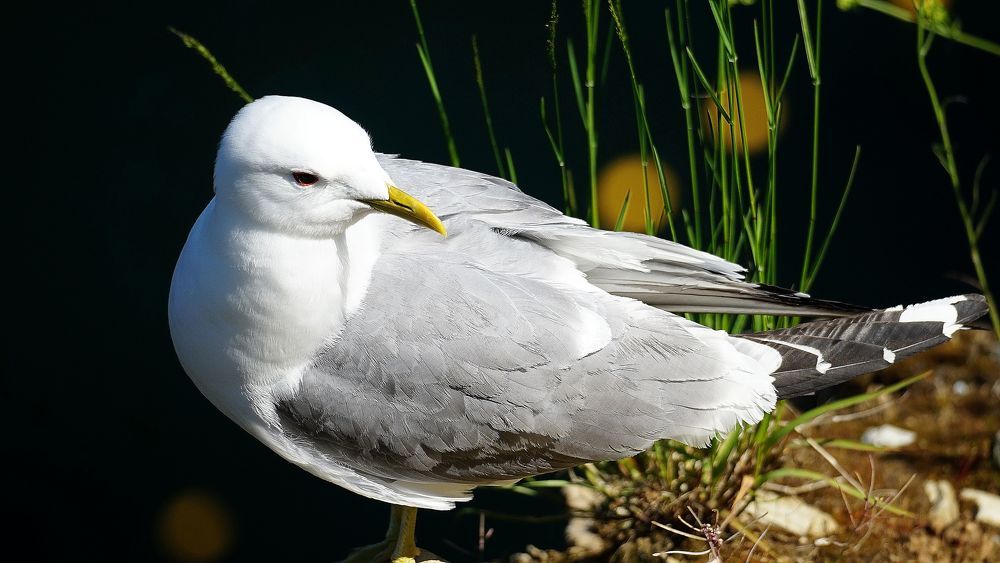 Photograph by АНДРЕЙ ОБРЯДОВ