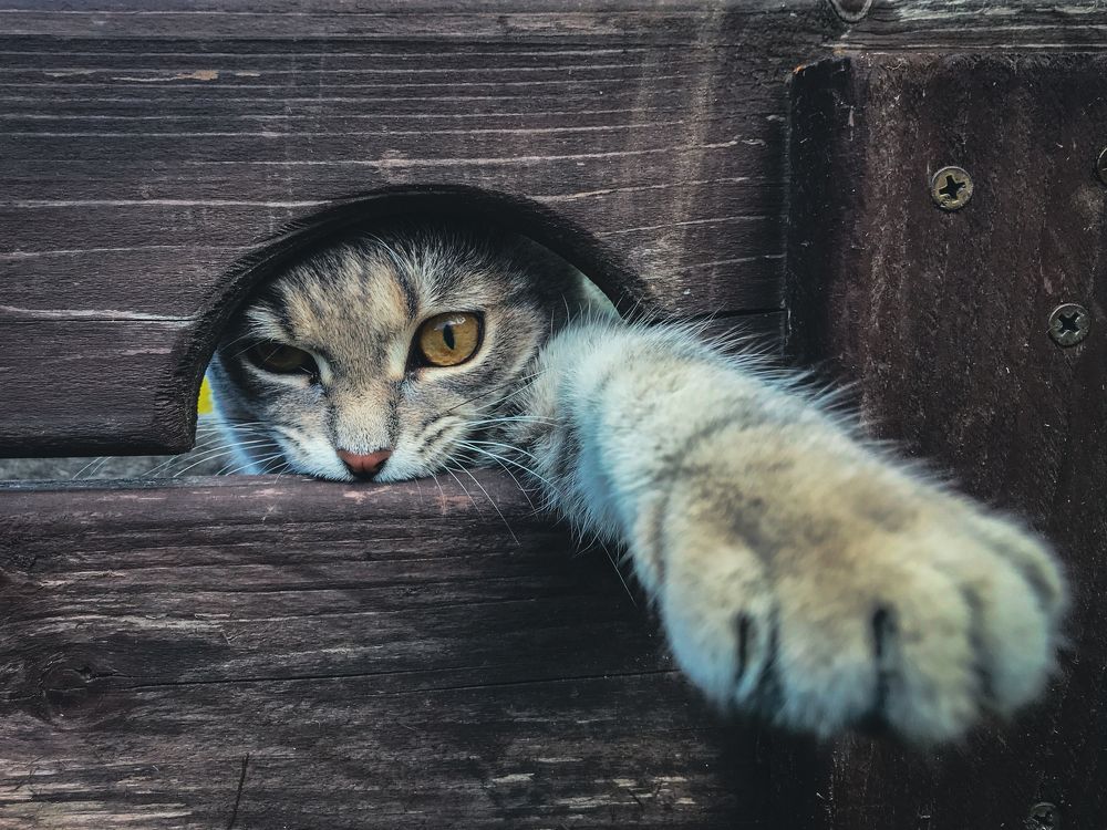 Photograph by Димитрий Осинцев