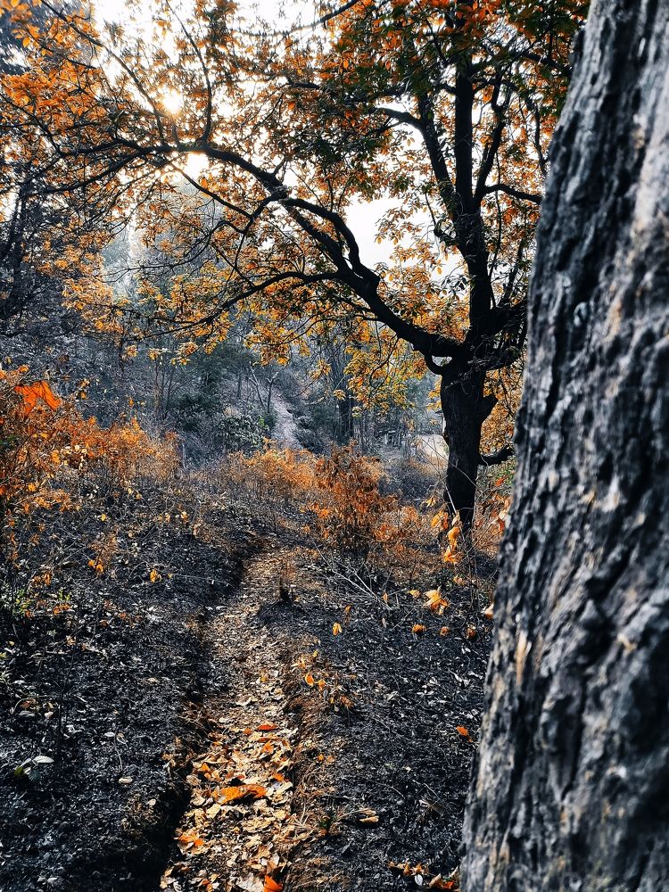 Photograph by Mitesh Jadhav