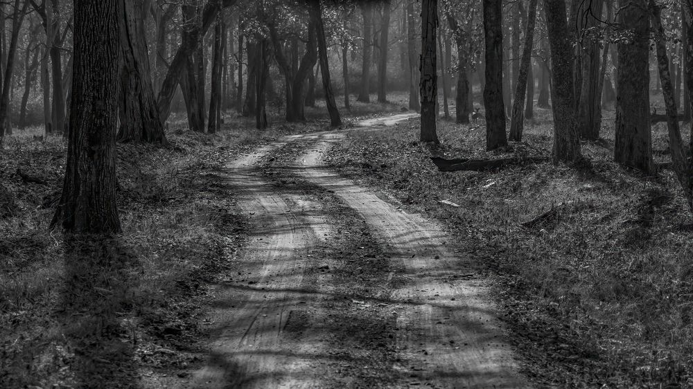 Photograph by Venkat Mangudi