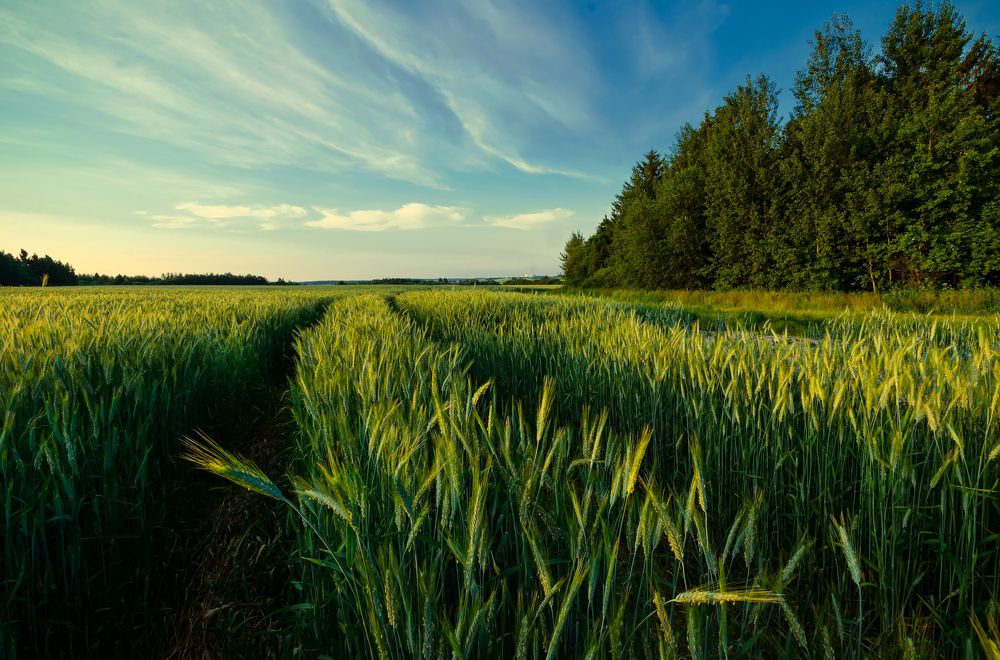 Photograph by Виктор Ханженков