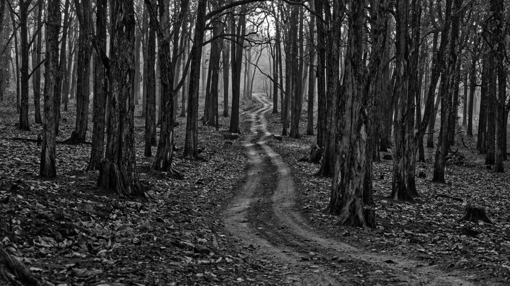 Photograph by Venkat Mangudi