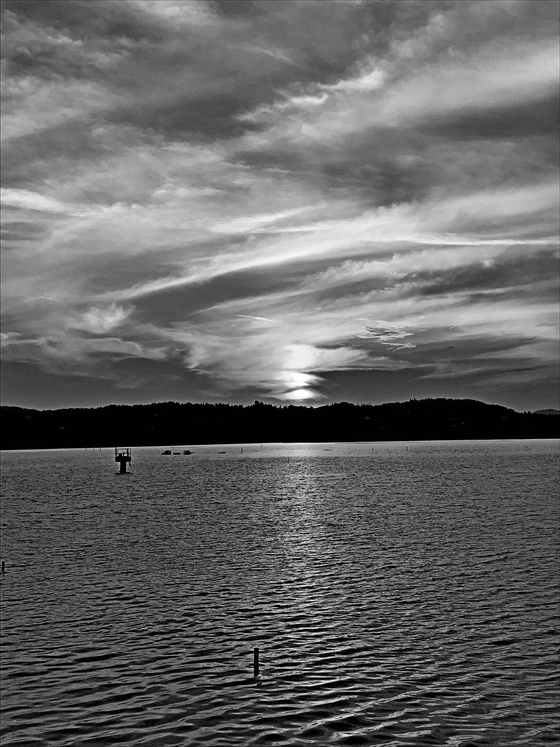 Photo #7749512