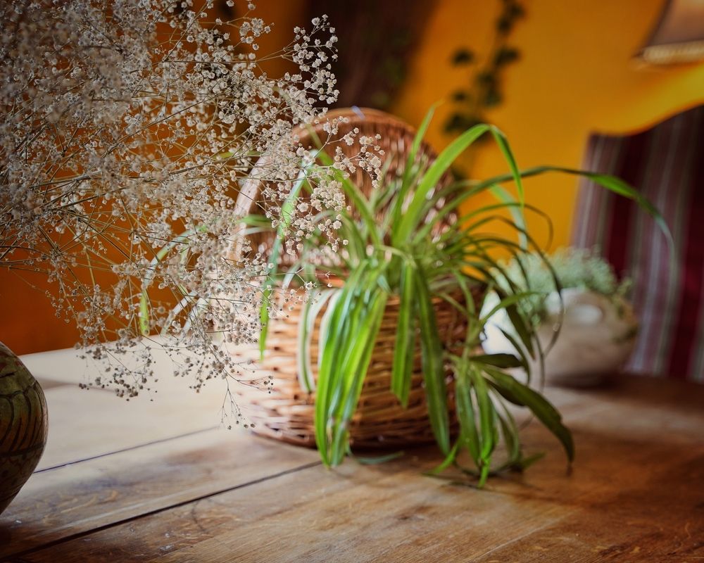 Photograph by Taliya Tsvetkova