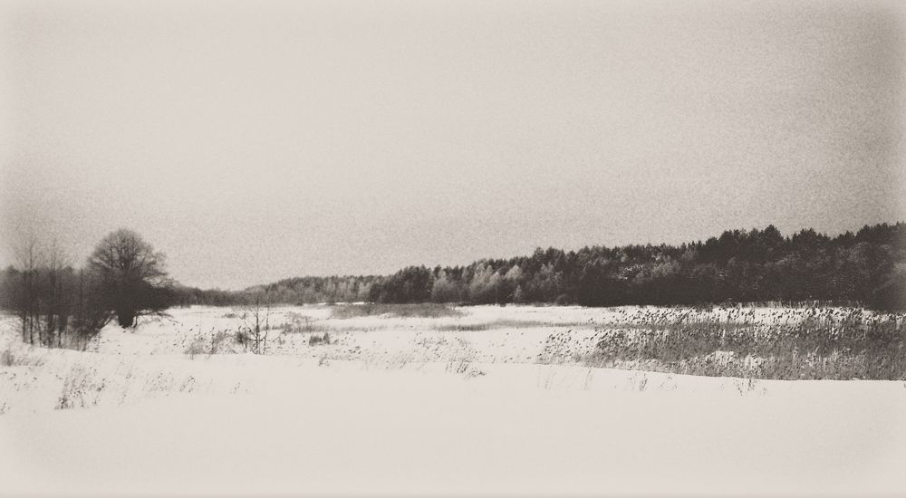 Photograph by Волкова Владимира