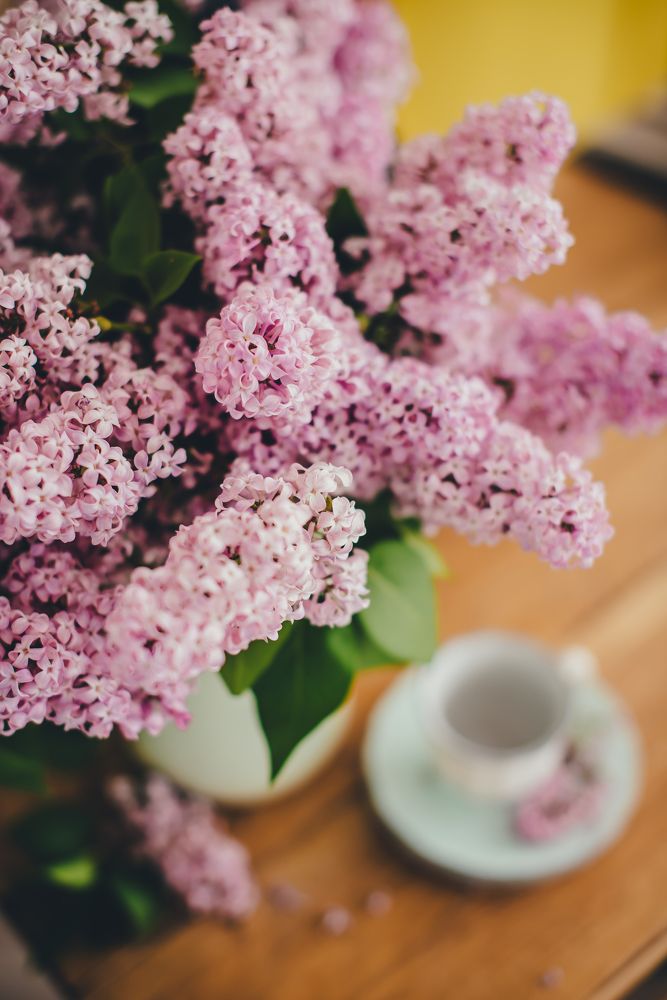 Photograph by Евгения Петрова