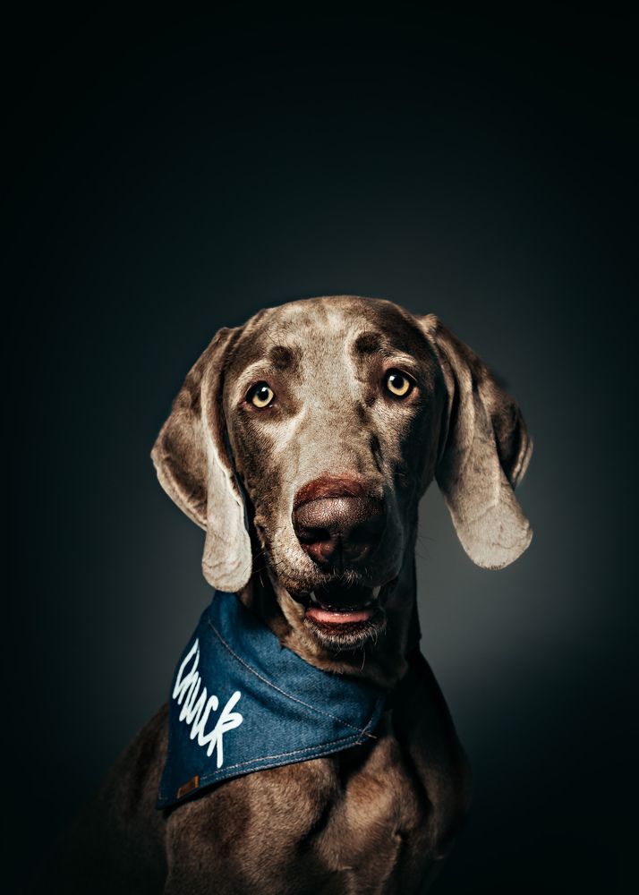 Photograph by Diego Weisser