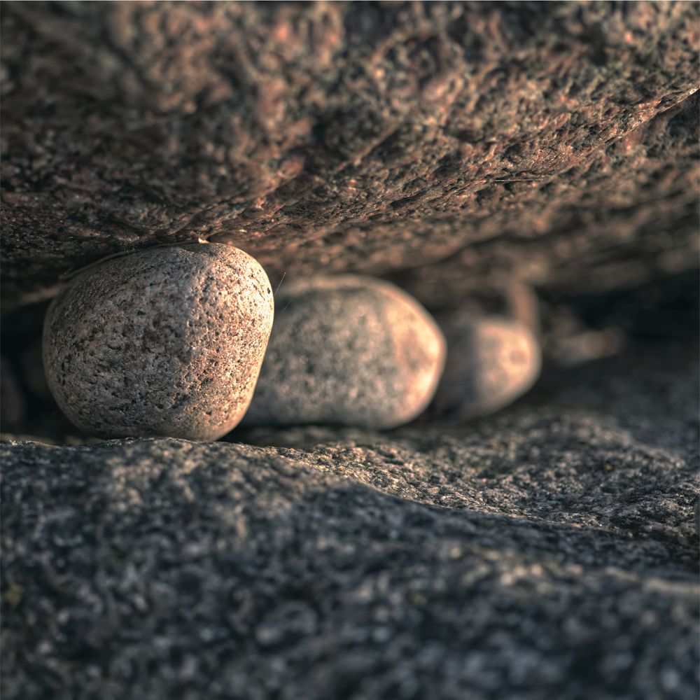 Яйца дракона