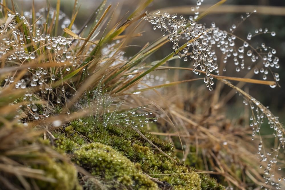 Photograph by Lucía Ruiz