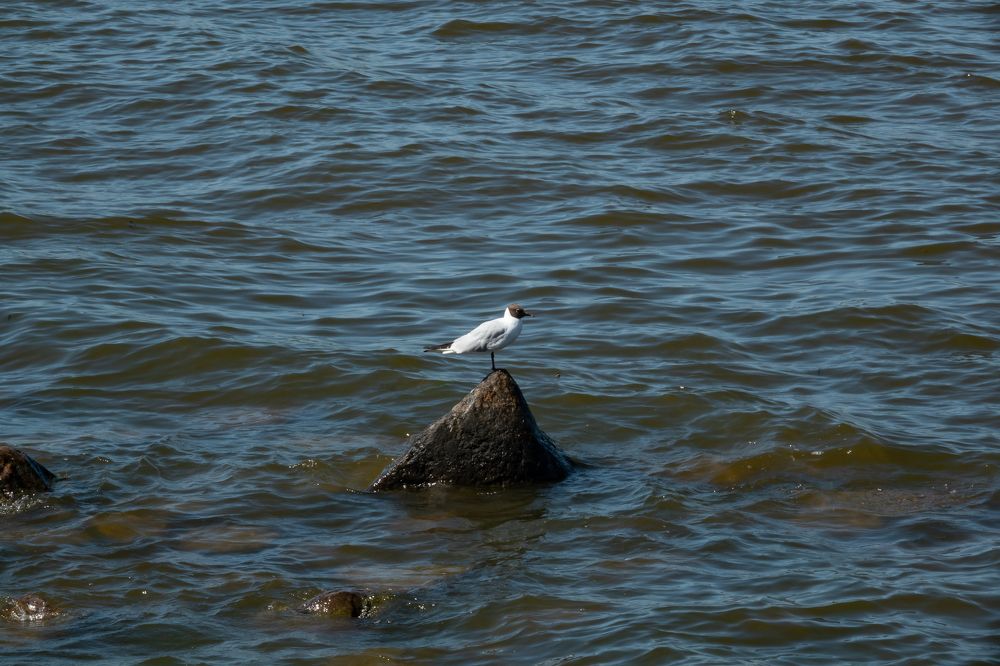 Photograph by Валентина Тагильцева