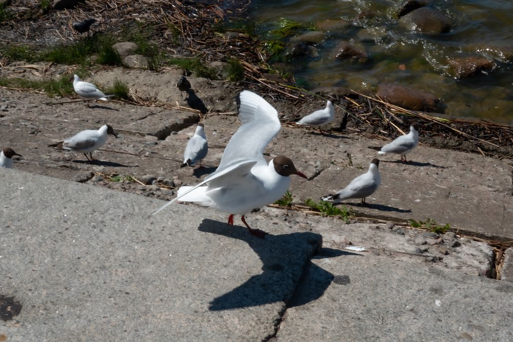 Photograph by Валентина Тагильцева