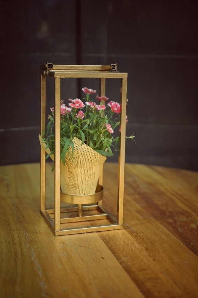 Photograph by Taliya Tsvetkova