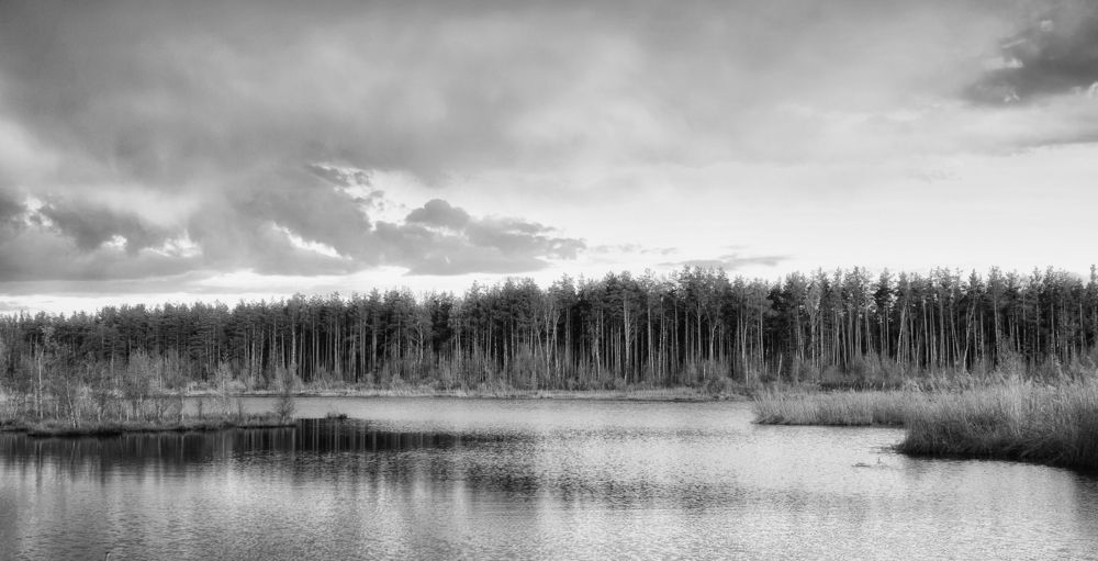 Photograph by Фёдор Куракин