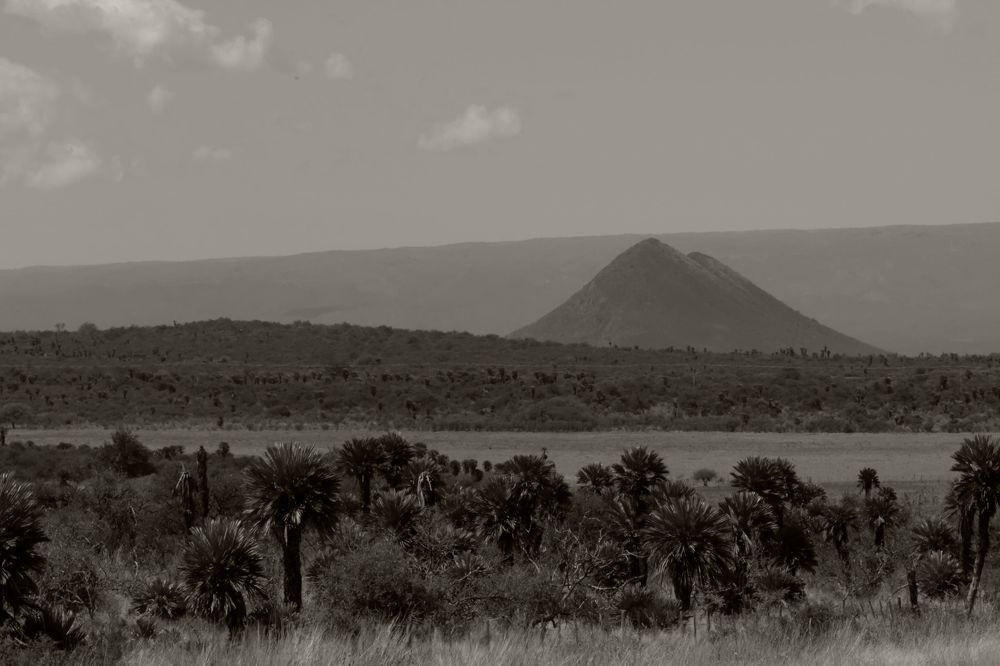 Photograph by Lucía Ruiz