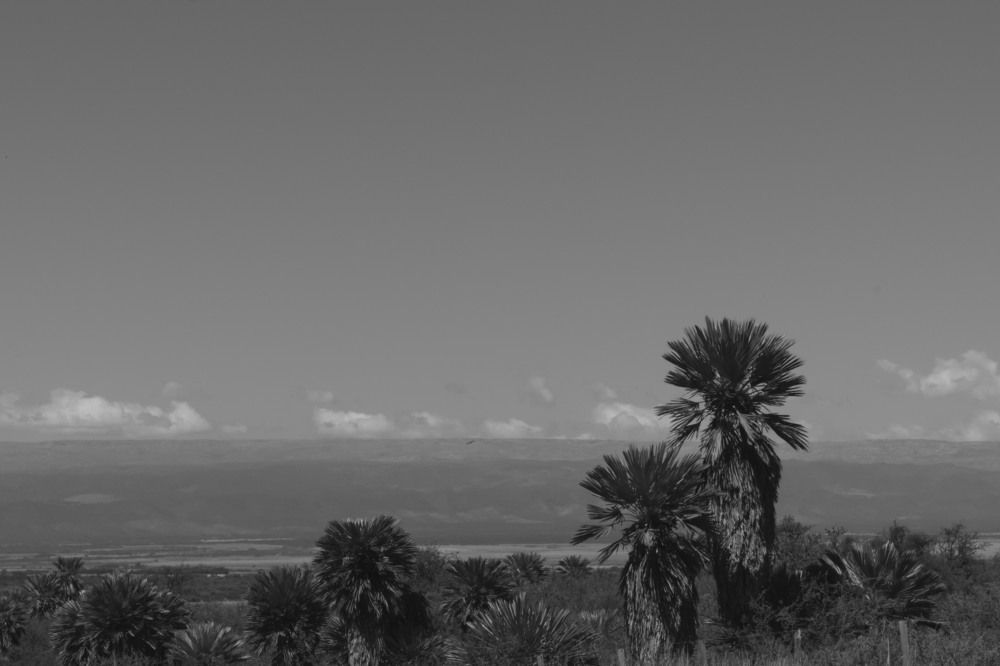 Photograph by Lucía Ruiz