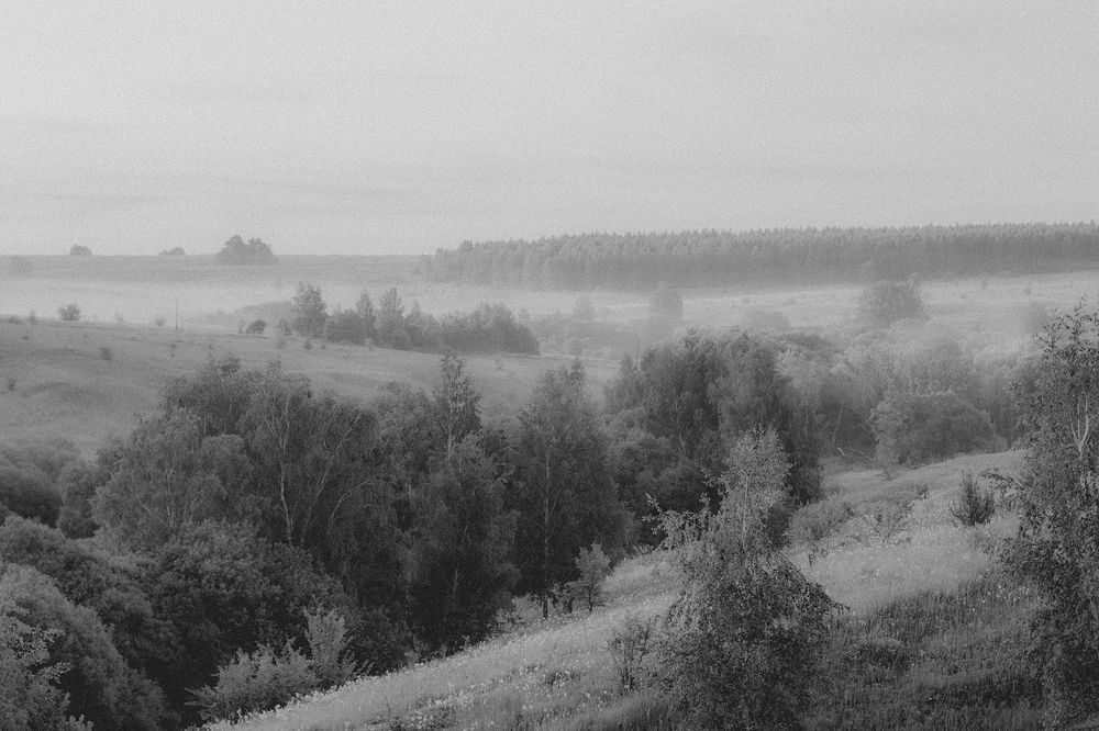Фотография автора Надежда Волкова