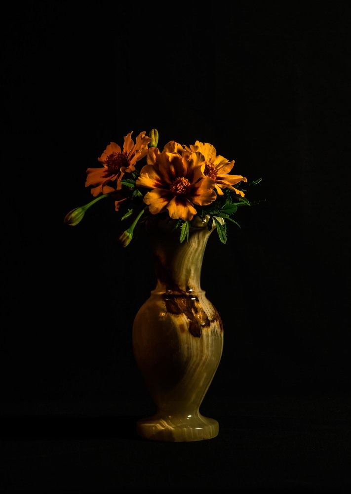 Фотография автора Aлексей Игнатьев