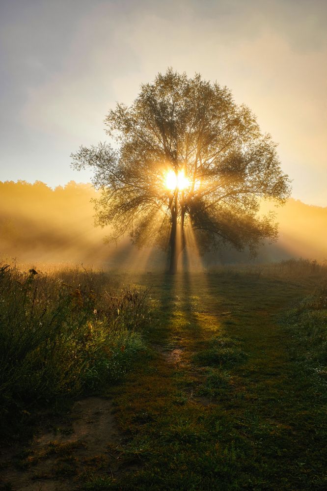 Photograph by Дмитрий Дыбов