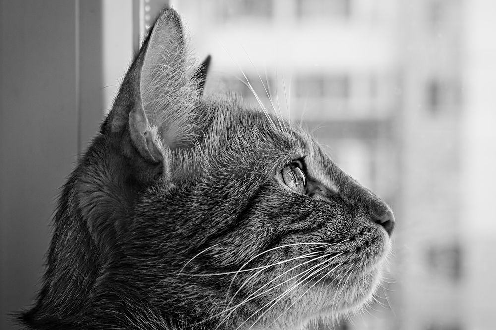 Photograph by Евгений Козлов