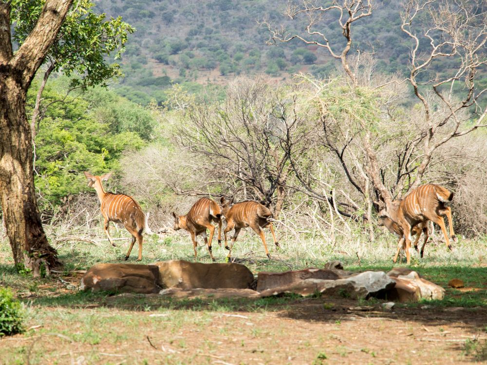 Photograph by Manono Photography