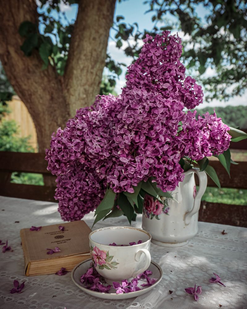 Photograph by Екатерина Савенкова