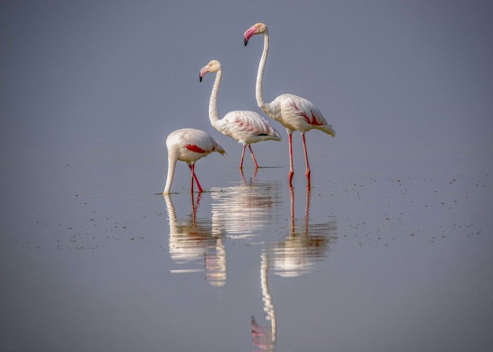 Photograph by NATALIA GOUSSEVA