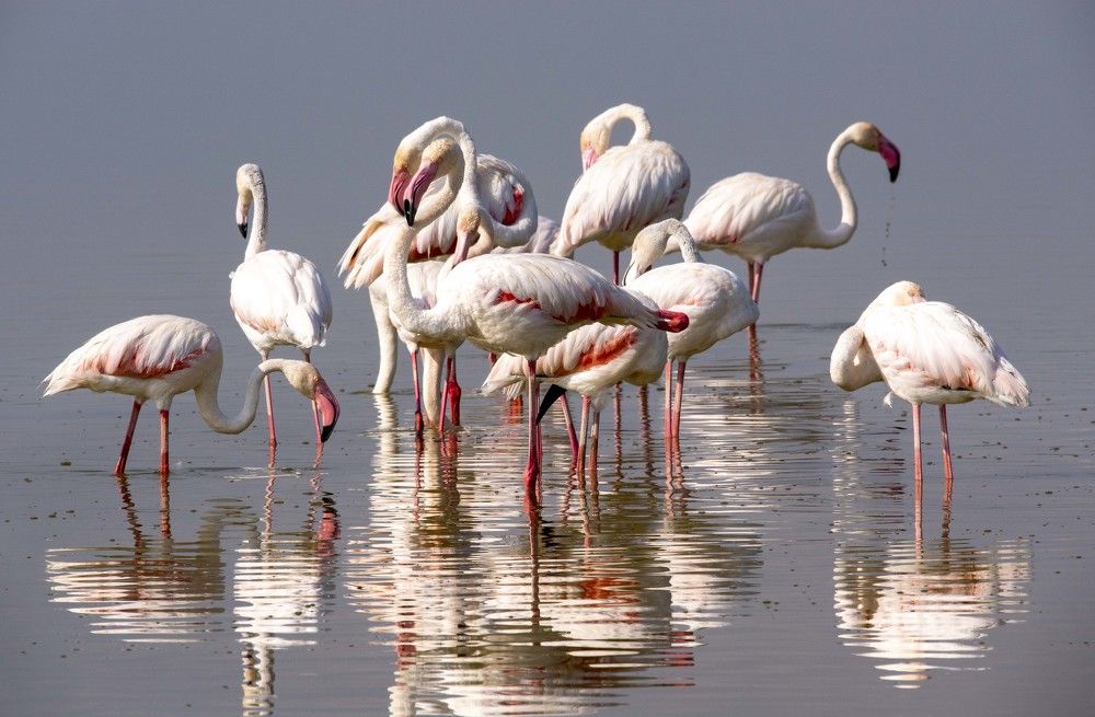 Photograph by NATALIA GOUSSEVA