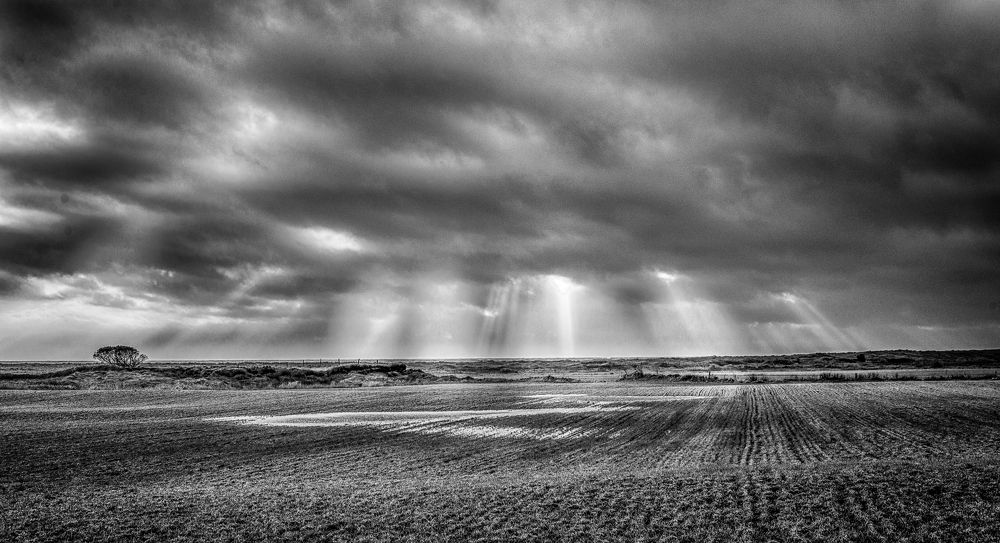 Photograph by Sidsel Tonnessen