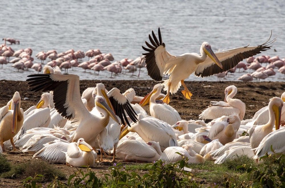 Photograph by NATALIA GOUSSEVA