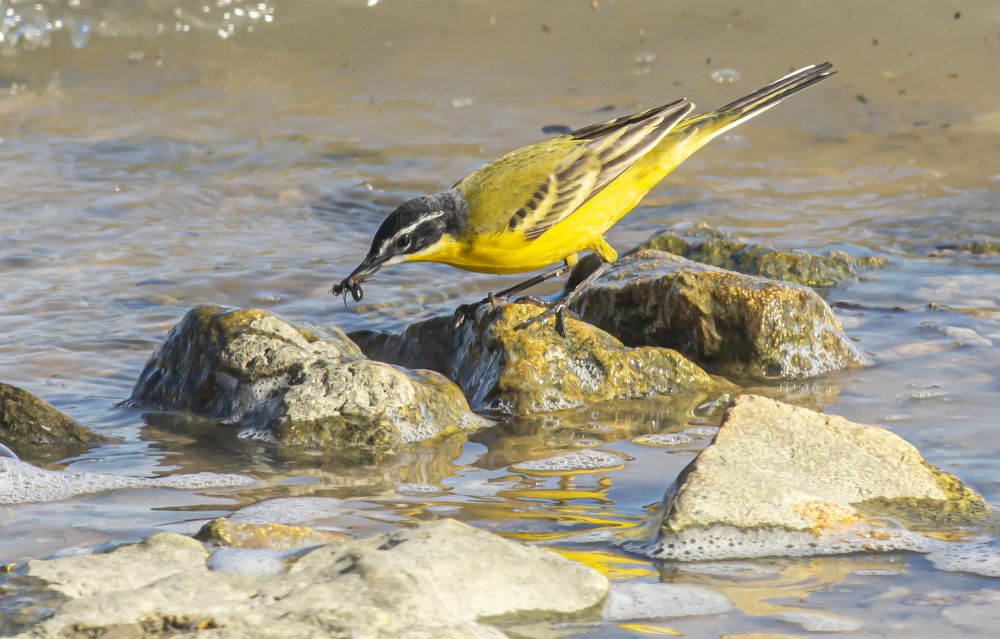 Photograph by Сергей Савчук