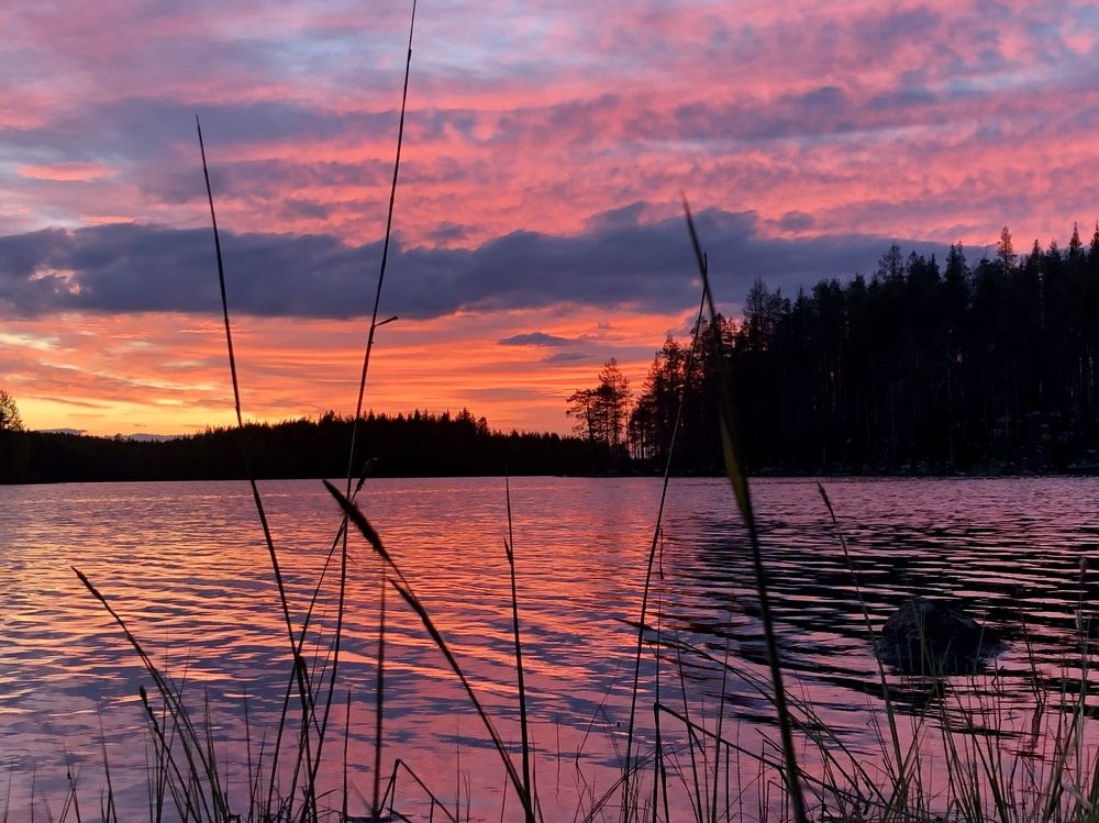 Розовое летнее настроение