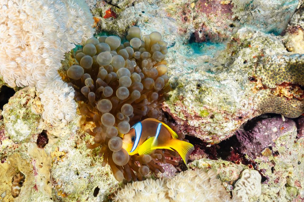 Photograph by Aleksander Goldshtein