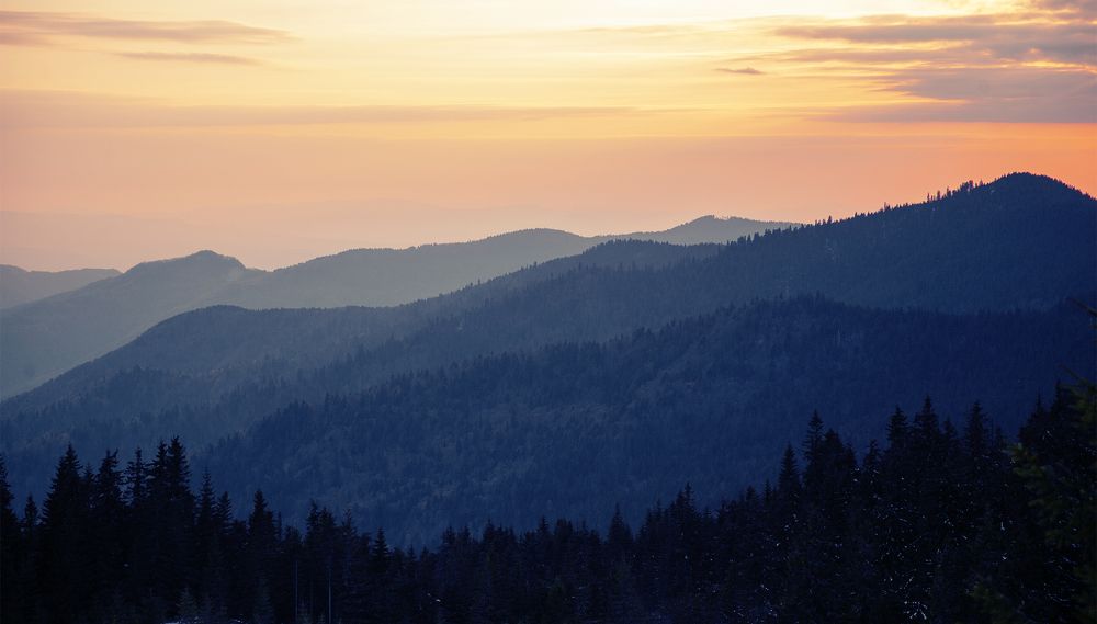 Photograph by Николай Ментюк