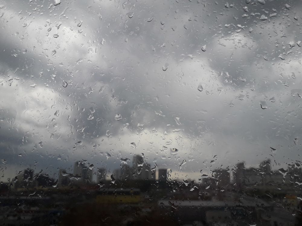 Photo #7750142