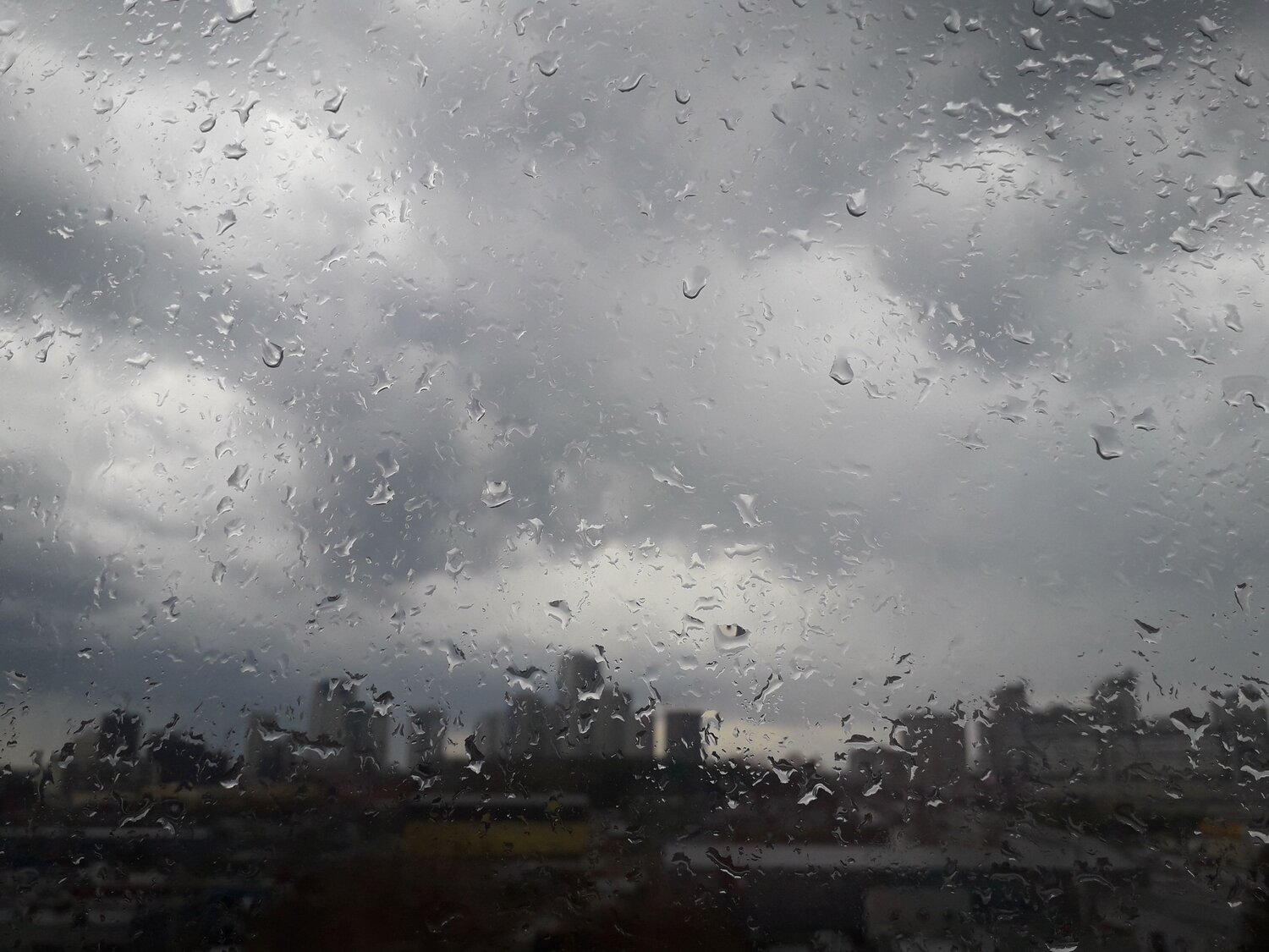 Photo #7750142