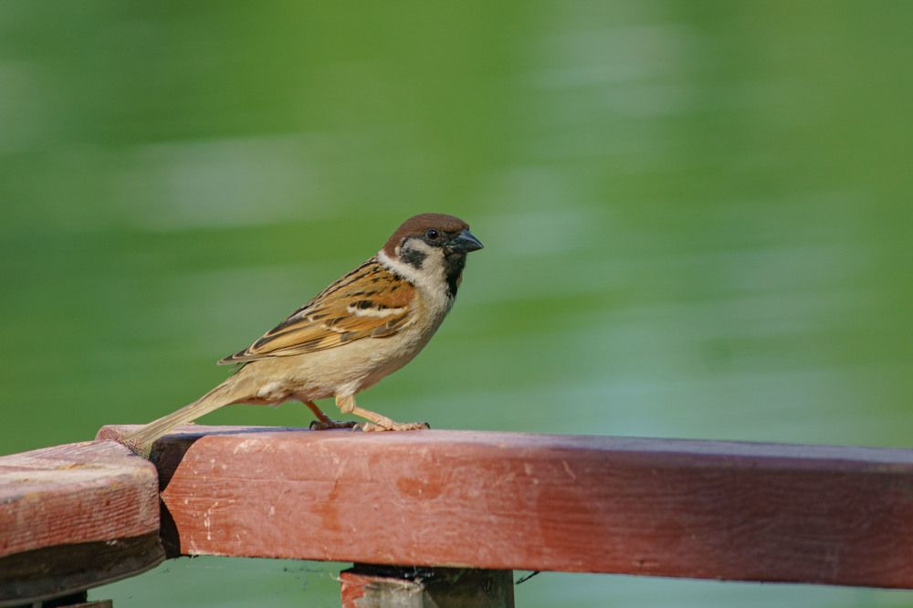 Photograph by Pavel Morozov