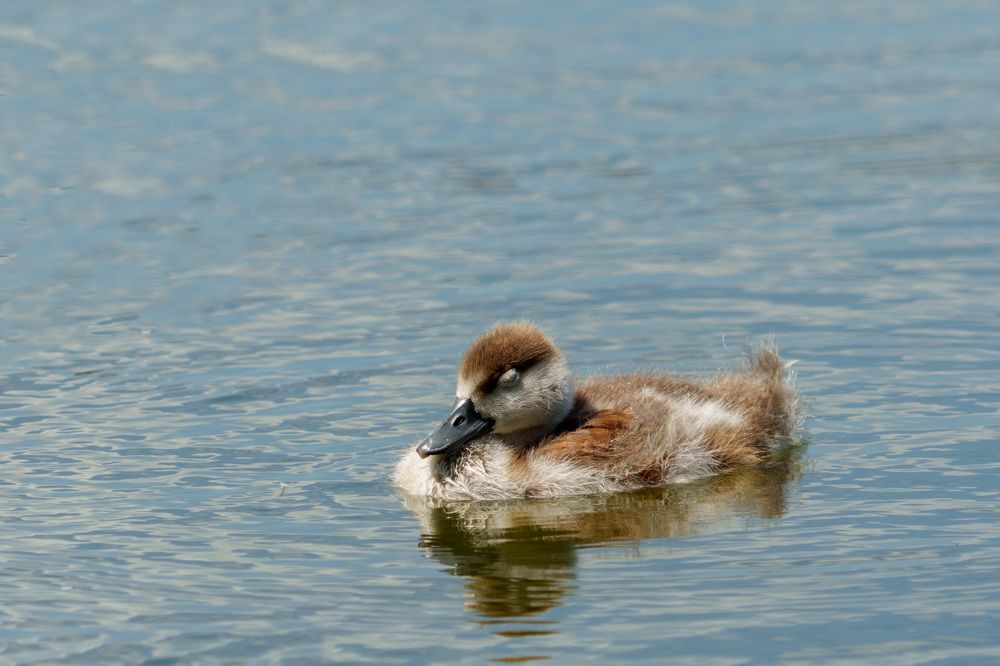 Photograph by Pavel Morozov